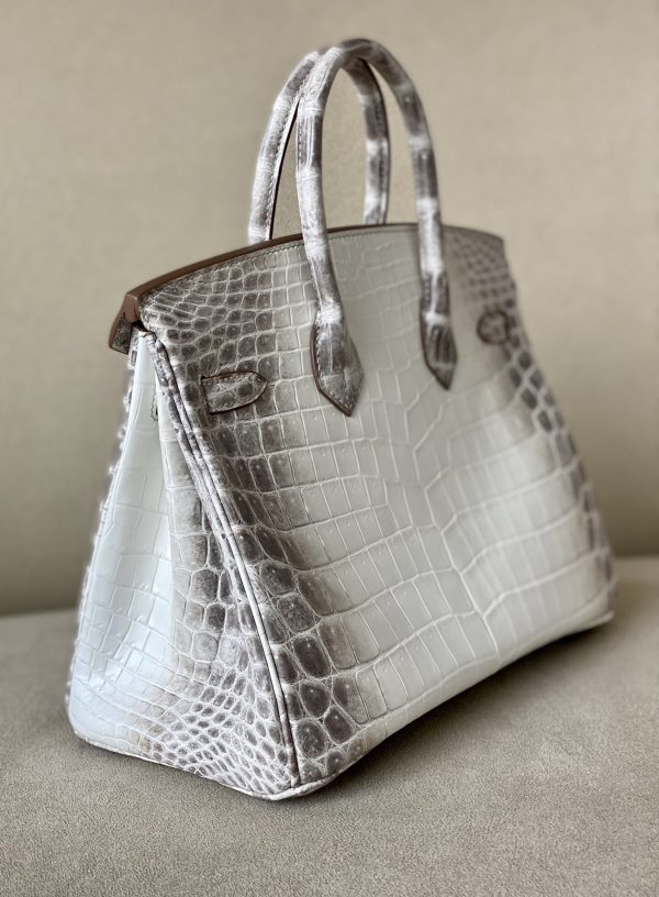 Birkin Himalayan Crocodile 25 Palladium Hardware - Image 3
