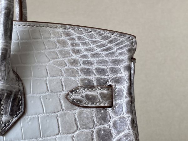Birkin Himalayan Crocodile 25 Palladium Hardware - Image 4