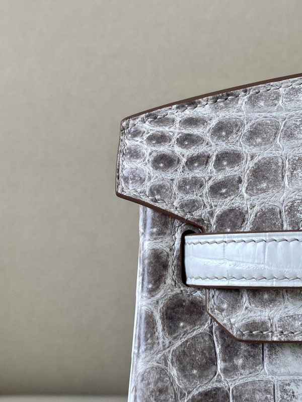 Birkin Himalayan Crocodile 25 Palladium Hardware - Image 5