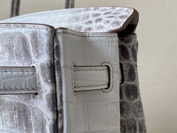 Birkin Himalayan Crocodile 25 Palladium Hardware - Image 6