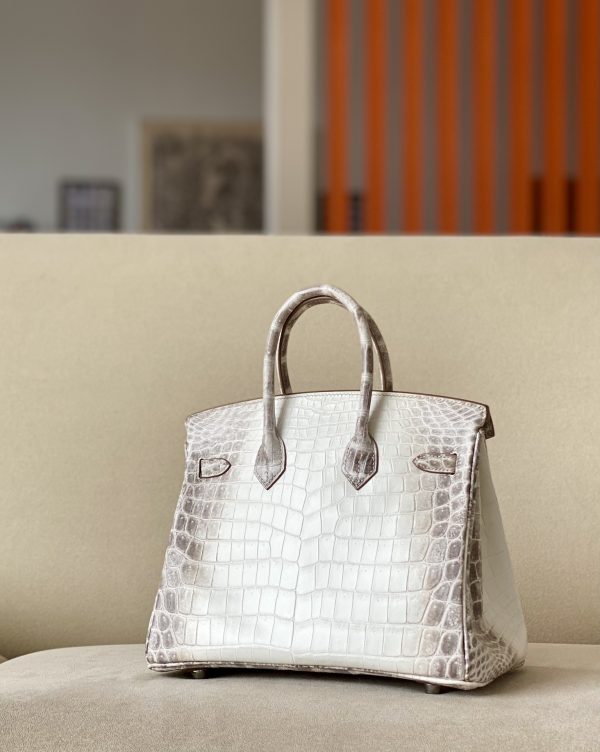 Birkin Himalayan Crocodile 25 Palladium Hardware - Image 10