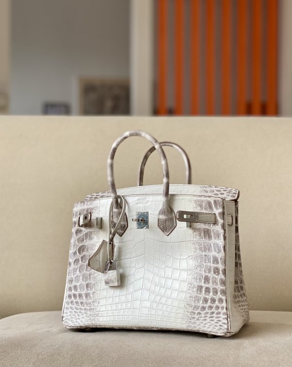 Birkin Himalayan Crocodile 25 Palladium Hardware - Image 11
