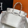Birkin Himalayan Crocodile 25 Diamond Palladium Hardware - Image 2