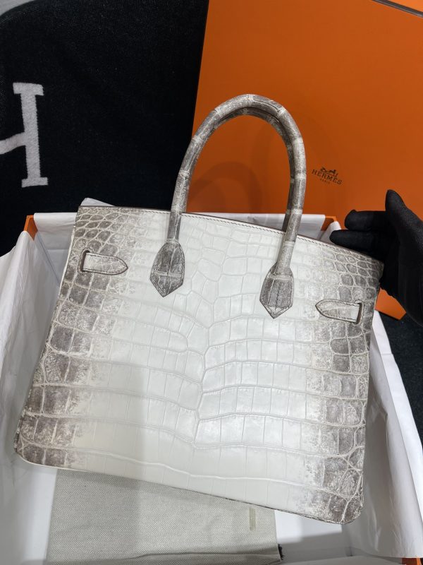 Birkin Himalayan Crocodile 25 Diamond Palladium Hardware - Image 3