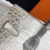 Birkin Himalayan Crocodile 25 Diamond Palladium Hardware - Image 4