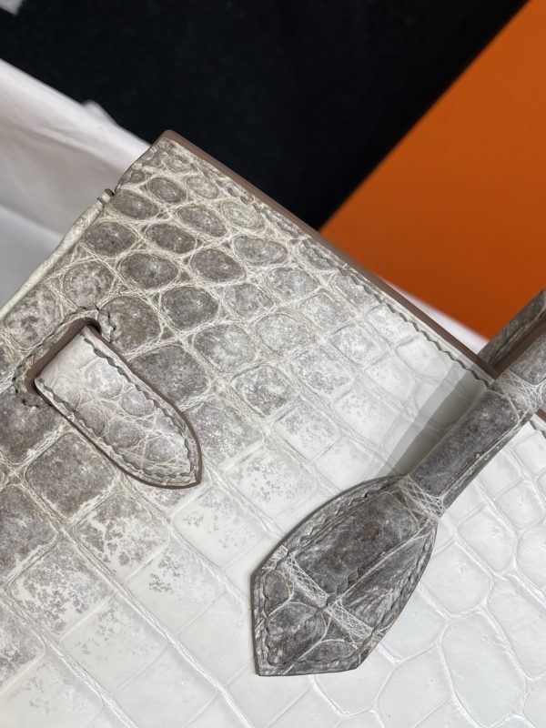 Birkin Himalayan Crocodile 25 Diamond Palladium Hardware - Image 4