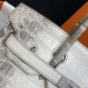 Birkin Himalayan Crocodile 25 Diamond Palladium Hardware - Image 6