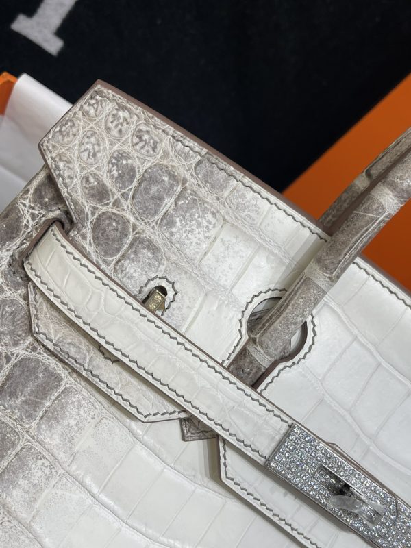Birkin Himalayan Crocodile 25 Diamond Palladium Hardware - Image 6