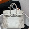 Birkin Himalayan Crocodile 25 Diamond Palladium Hardware