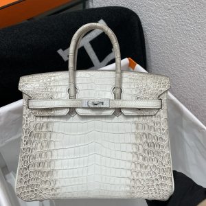 Birkin Himalayan Crocodile 25 Diamond Palladium Hardware