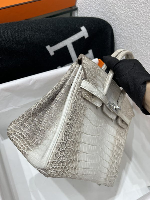Birkin Himalayan Crocodile 25 Diamond Palladium Hardware - Image 12