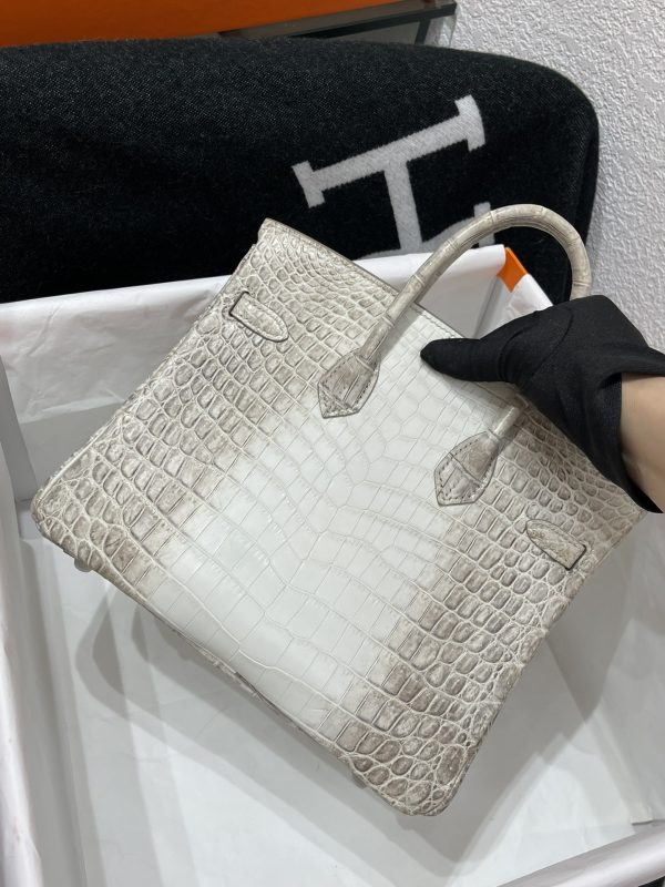 Birkin Himalayan Crocodile 25 Diamond Palladium Hardware - Image 13