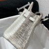 Birkin Himalayan Crocodile 25 Diamond Palladium Hardware - Image 16