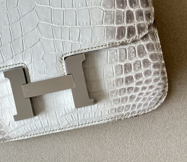 Constance 19 Himalayan Crocodile Palladium Hardware - Image 6