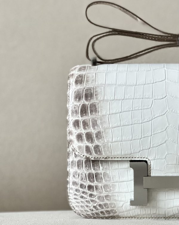 Constance 19 Himalayan Crocodile Palladium Hardware - Image 7