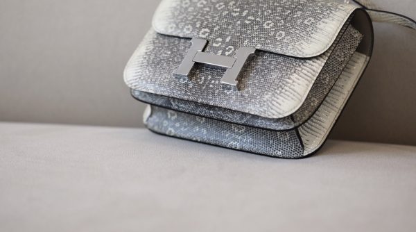 Constance 19 Lizard Ombre(1B) Palladium Hardware - Image 12