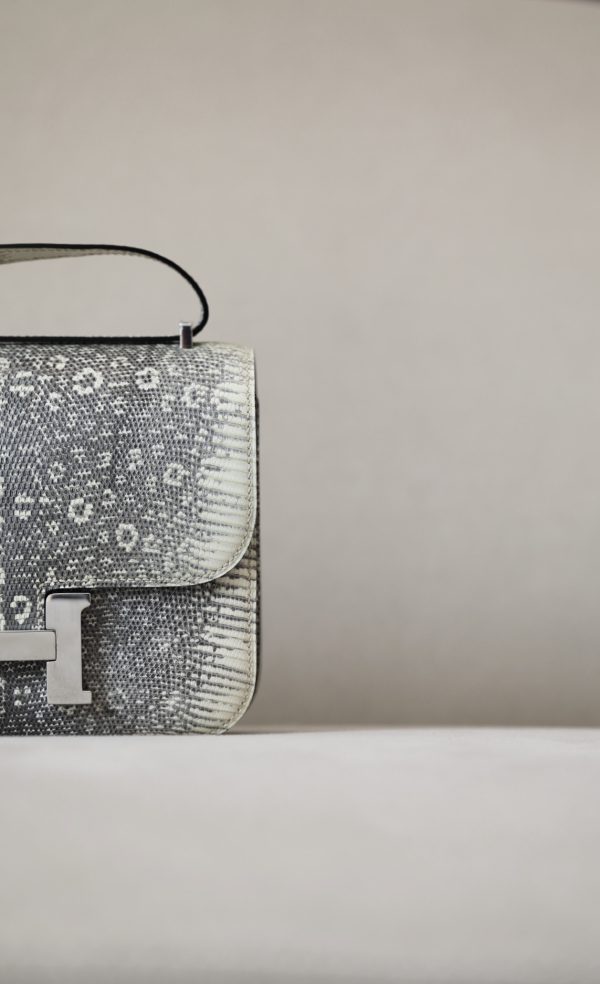 Constance 19 Lizard Ombre(1B) Palladium Hardware - Image 11