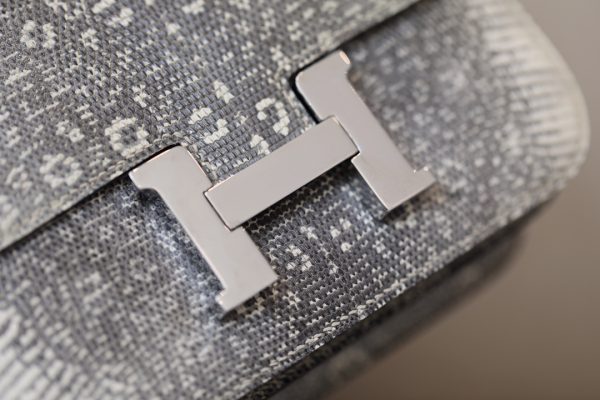 Constance 19 Lizard Ombre(1B) Palladium Hardware - Image 8