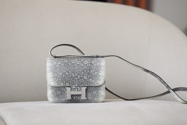 Constance 19 Lizard Ombre(1B) Palladium Hardware