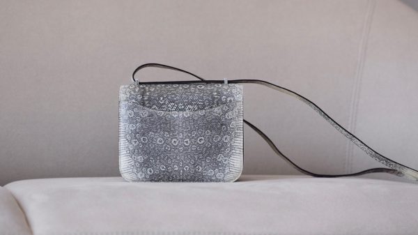 Constance 19 Lizard Ombre(1B) Palladium Hardware - Image 3