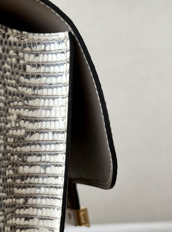 Constance 19 Lizard Ombre(1B) Gold Hardware - Image 5
