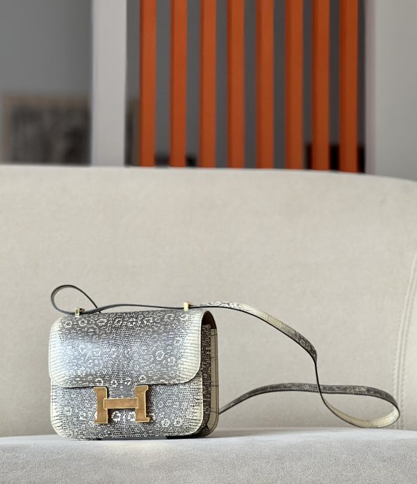 Constance 19 Lizard Ombre(1B) Gold Hardware - Image 3