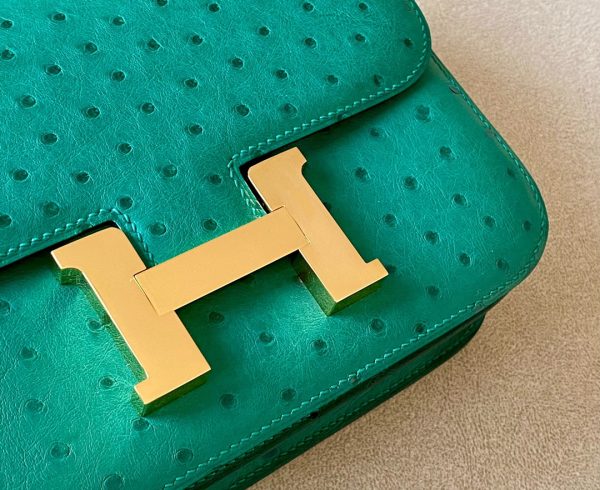 Constance 19 Ostrich Vert Vertigo (U4) Gold Hardware - Image 6
