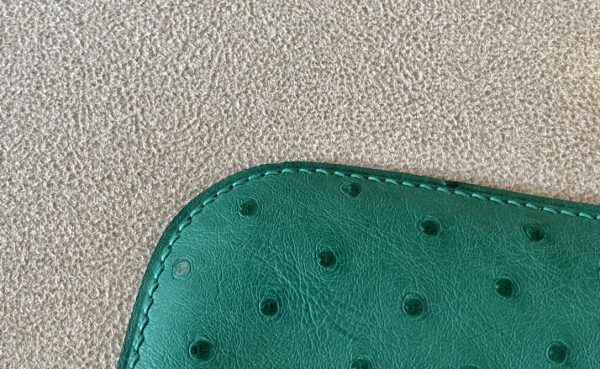 Constance 19 Ostrich Vert Vertigo (U4) Gold Hardware - Image 4