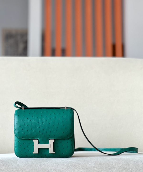 Constance 19 Ostrich Vert Vertigo (U4) Palladium Hardware - Image 12