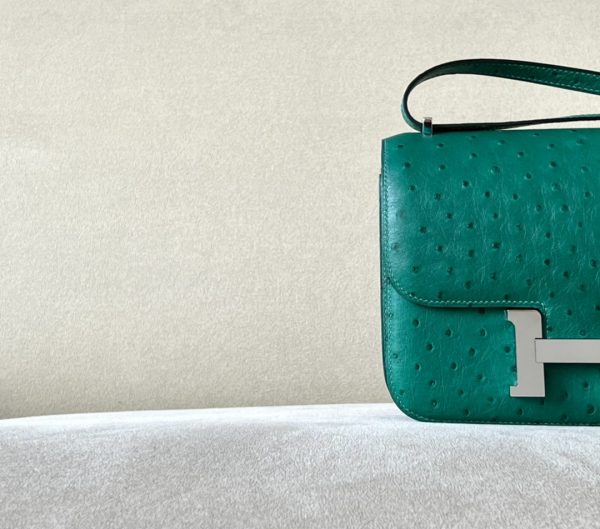 Constance 19 Ostrich Vert Vertigo (U4) Palladium Hardware - Image 11