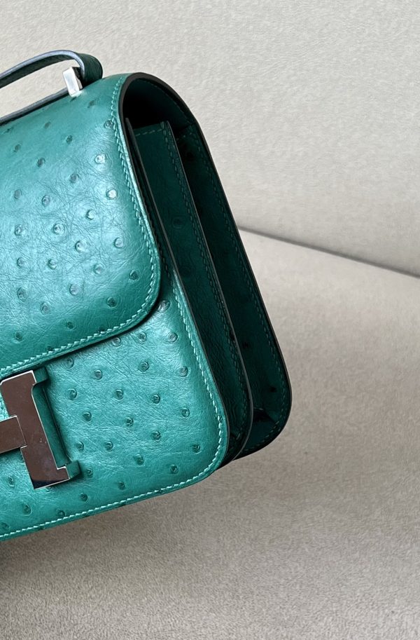 Constance 19 Ostrich Vert Vertigo (U4) Palladium Hardware - Image 10