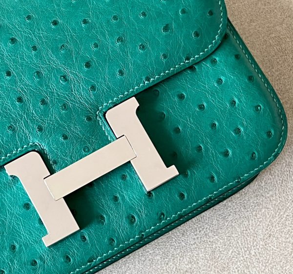 Constance 19 Ostrich Vert Vertigo (U4) Palladium Hardware - Image 9