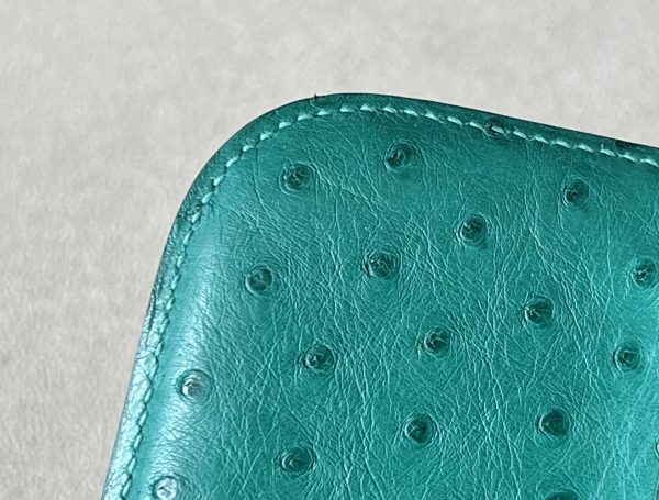 Constance 19 Ostrich Vert Vertigo (U4) Palladium Hardware - Image 4