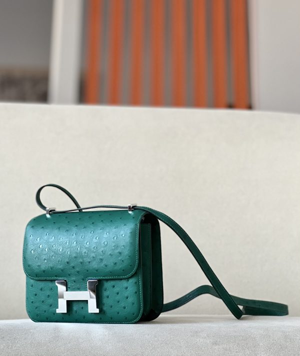 Constance 19 Ostrich Vert Vertigo (U4) Palladium Hardware - Image 3