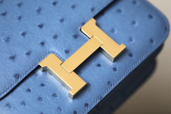 Constance 19 Ostrich Bleu Hydra (T7) Gold Hardware - Image 6