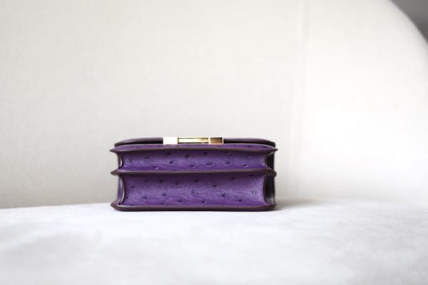 Constance 19 Ostrich Anemone  (P9) Gold Hardware - Image 11