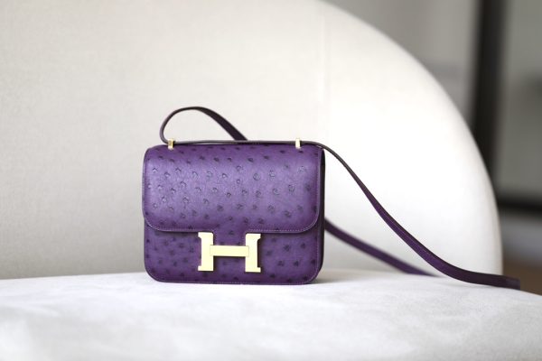Constance 19 Ostrich Anemone  (P9) Gold Hardware