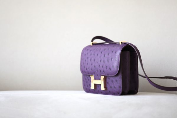 Constance 19 Ostrich Anemone  (P9) Gold Hardware - Image 2