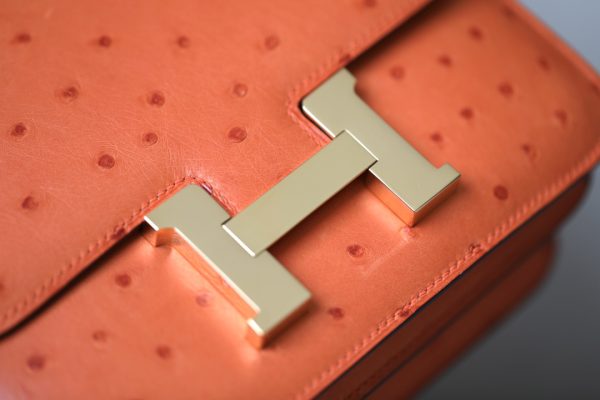 Constance 19 Ostrich Orange (93) Gold Hardware - Image 6