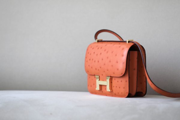 Constance 19 Ostrich Orange (93) Gold Hardware - Image 3