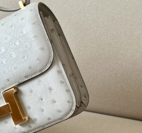 Constance 19 Ostrich Gris Perle (80) Gold Hardware - Image 5