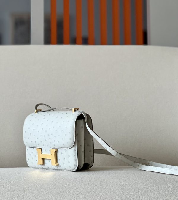 Constance 19 Ostrich Gris Perle (80) Gold Hardware - Image 3