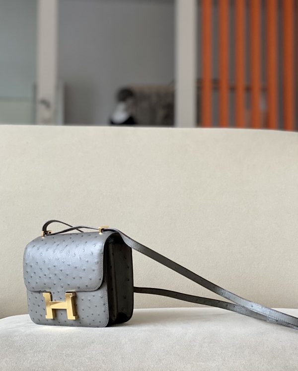 Constance 19 Ostrich Gris Asphalte (M8) Gold Hardware - Image 2
