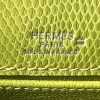 Kelly Pochette Lizard Vert Aris (66) Palladium Hardware - Image 6