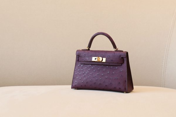 Kelly Mini Ostrich Anemone (P9) Gold Hardware - Image 2