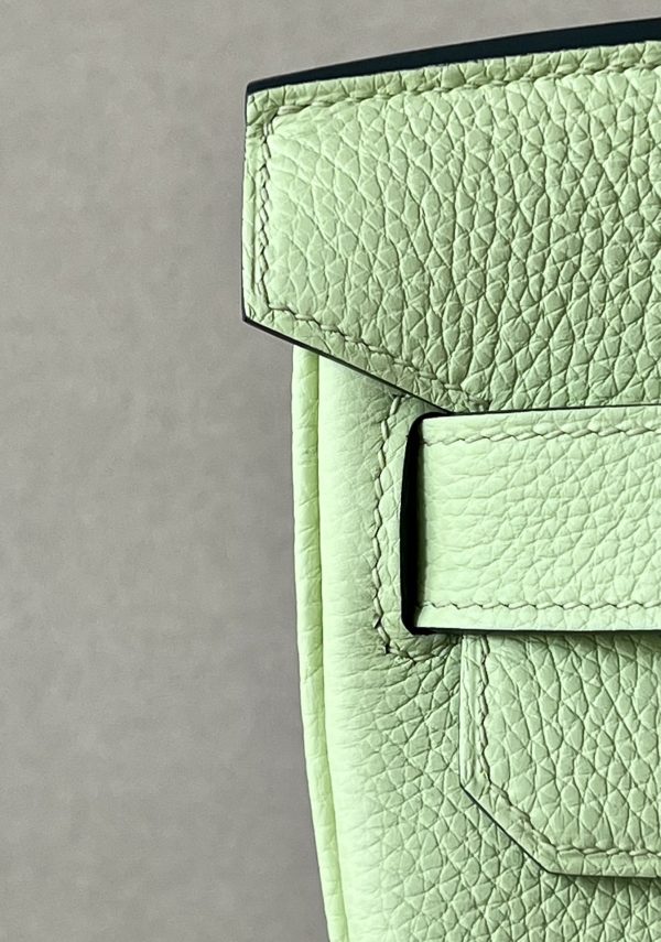 Birkin Hac a Dos PM Backpack Togo Vert Absinthe (Y6) Palladium Hardware - Image 9