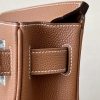 Birkin Hac a Dos PM Backpack Togo Gold (37) Gold Hardware - Image 6