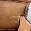 Birkin Hac a Dos PM Backpack Togo Gold (37) Gold Hardware - Image 7