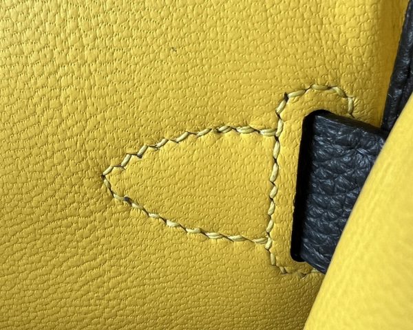 Birkin Hac a Dos PM Backpack HSS Togo Caban (3Y)  And Jaune de Naples (9O)Palladium Hardware - Image 8