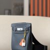 Birkin Hac a Dos PM Backpack HSS Togo Caban (3Y)  And Jaune de Naples (9O)Palladium Hardware - Image 2